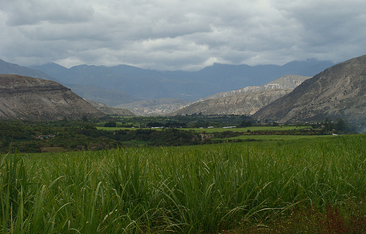 Valle Chota between Ibarra and El Ángel