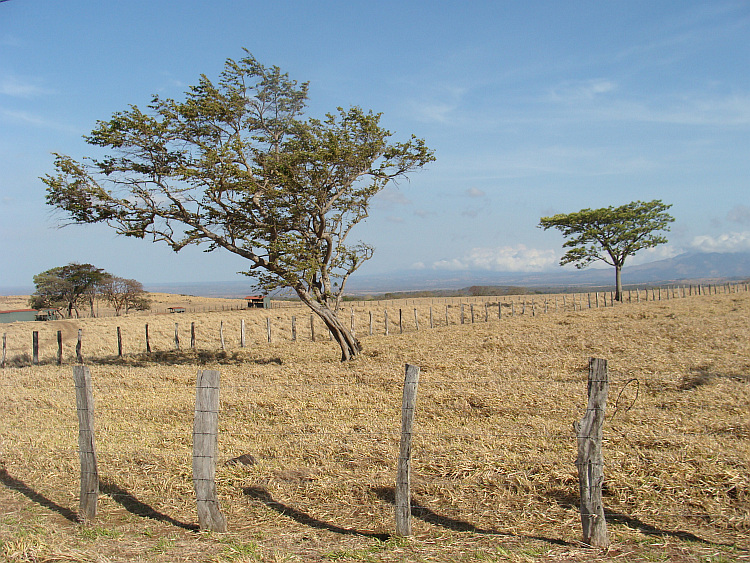 The dry north west of Costa Rica