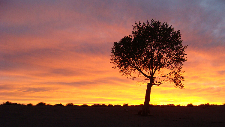 Sunset in Lahoritan State Recreation Area