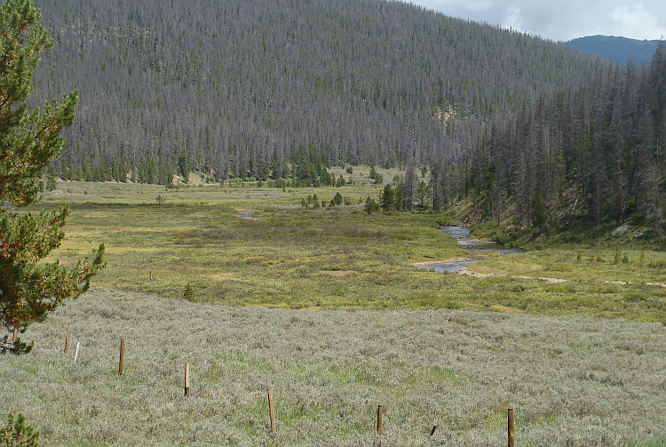 Arapaho National Forest between Granby and Rand