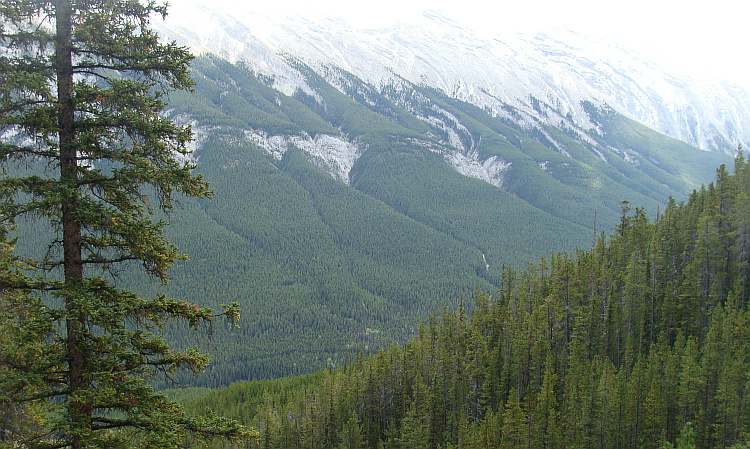Mountain Landscape near Banff