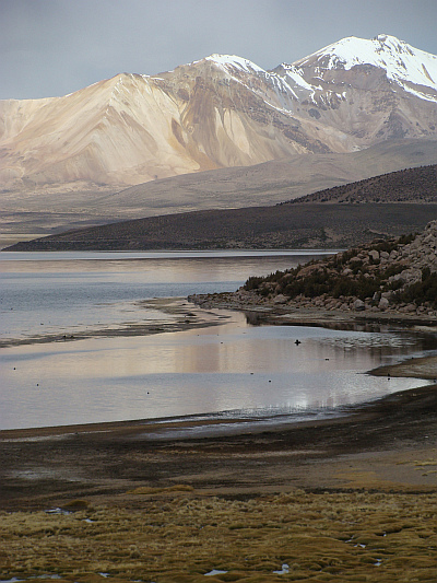 Landscape in Parque Nacional Lauca (Chile)