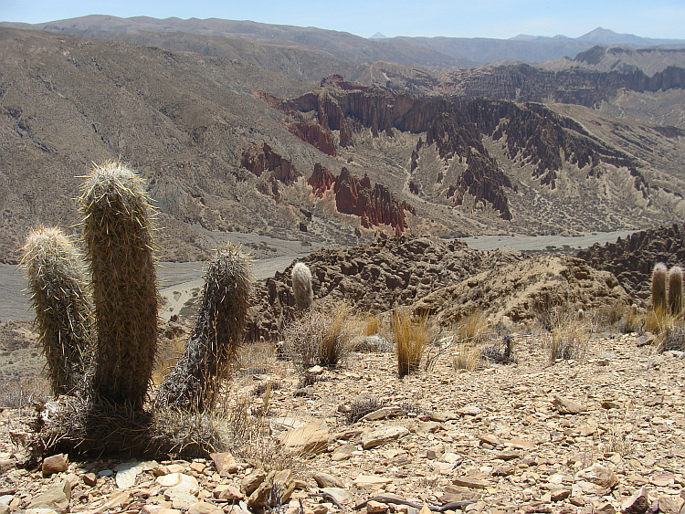 The Wild West landscape of Tupiza