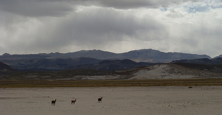 Landscape between Potosí and Uyuni