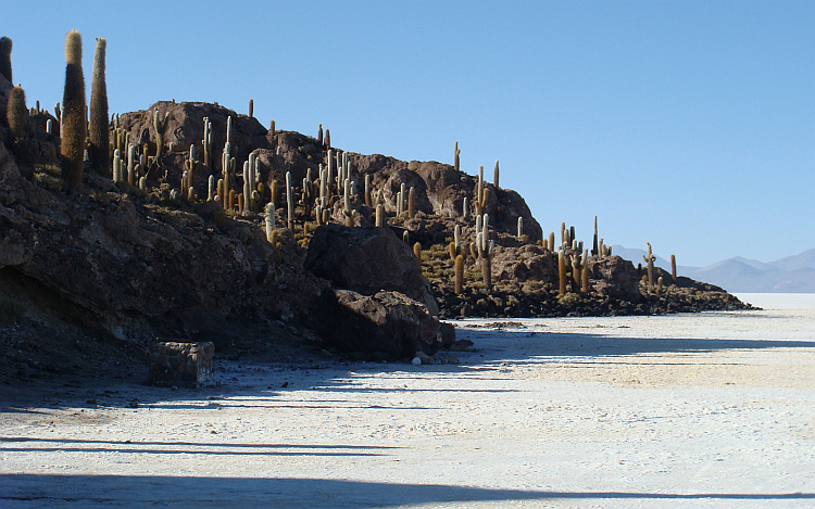 Isla de los Pescadores and the Salar de Uyuni