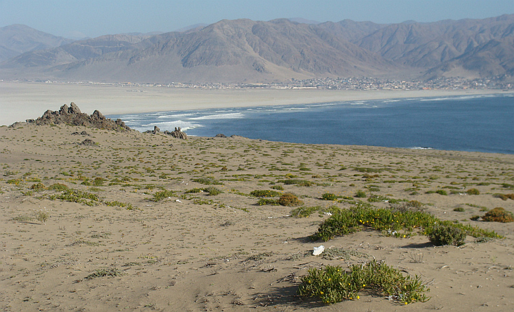 The coastal landscape near Chañaral