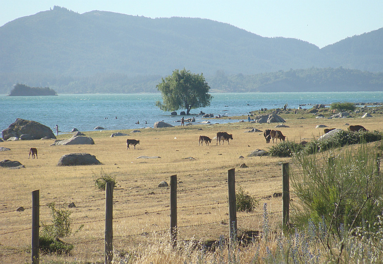 Landschap in Centraal Chili