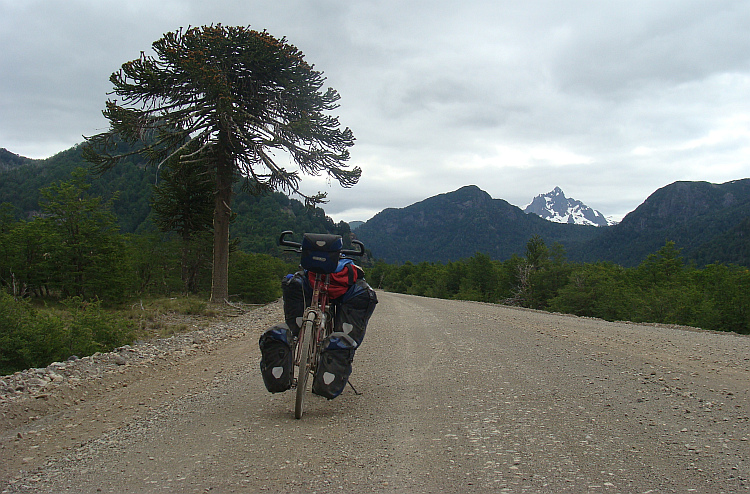 Op de weg naar Junín de los Andes