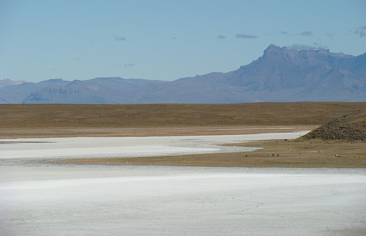 Salar in the pampas