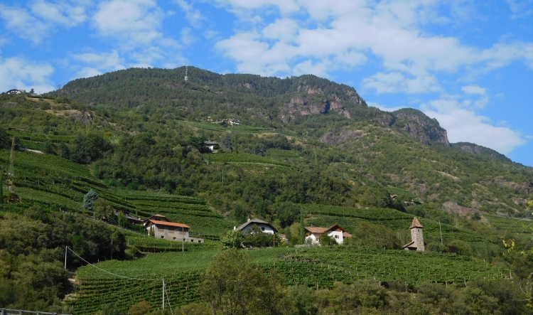 Landscape near Bolzano