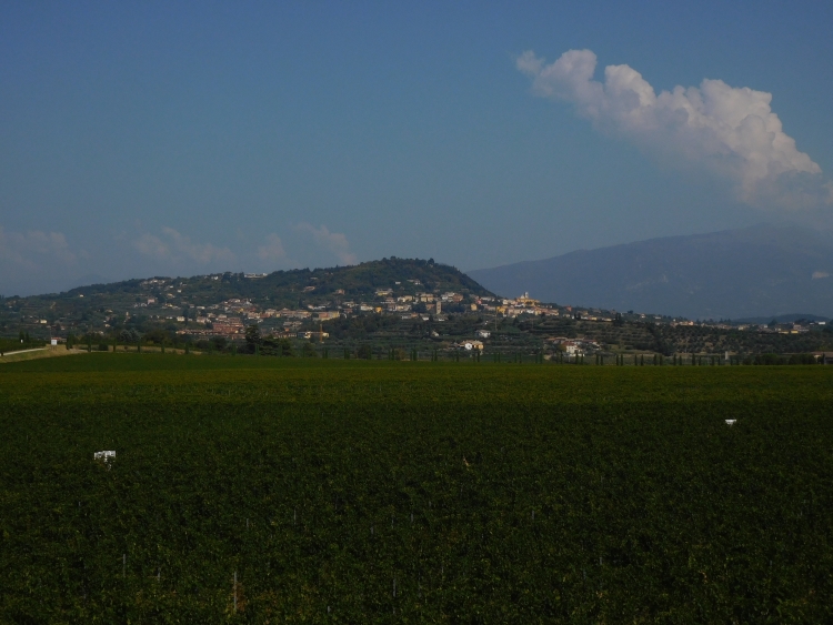 Landscape near Bardolino