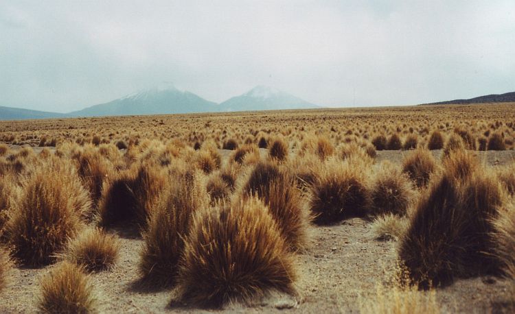 De tweelingvulkanen Parinacota en Pomerata