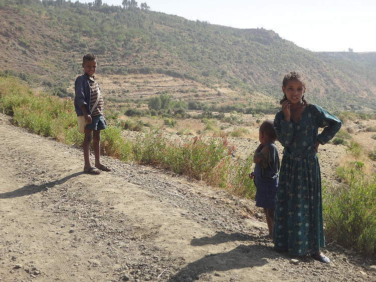 Children on the road to Alem Ketema