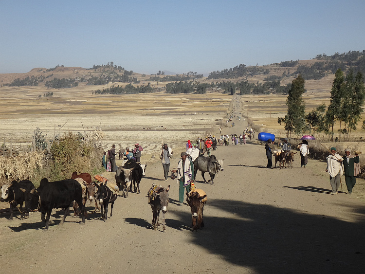 A procession of people leaving the market of Were Ilu several kilometers away