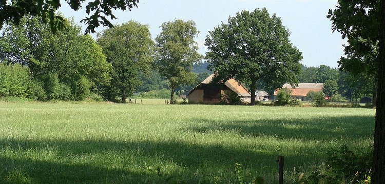Landscape near the Utrechtse Heuvelrug, Holland