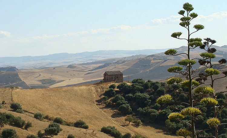 Landscape between Regalbuto and Agira