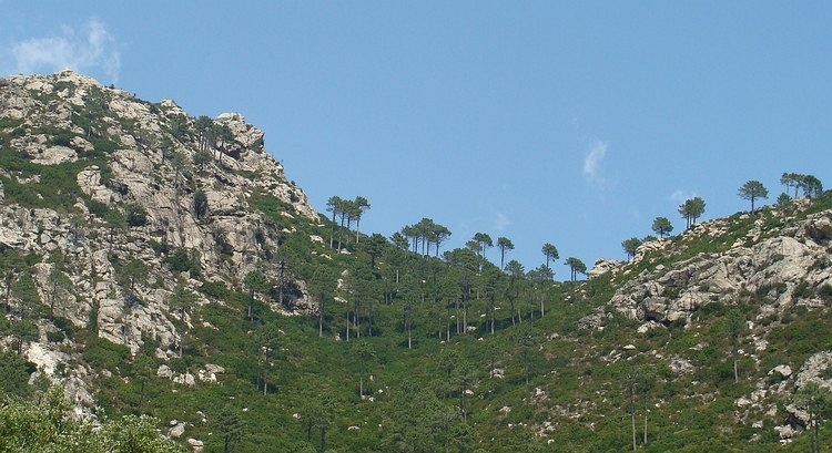 Landscape near Ghisoni, Corsica
