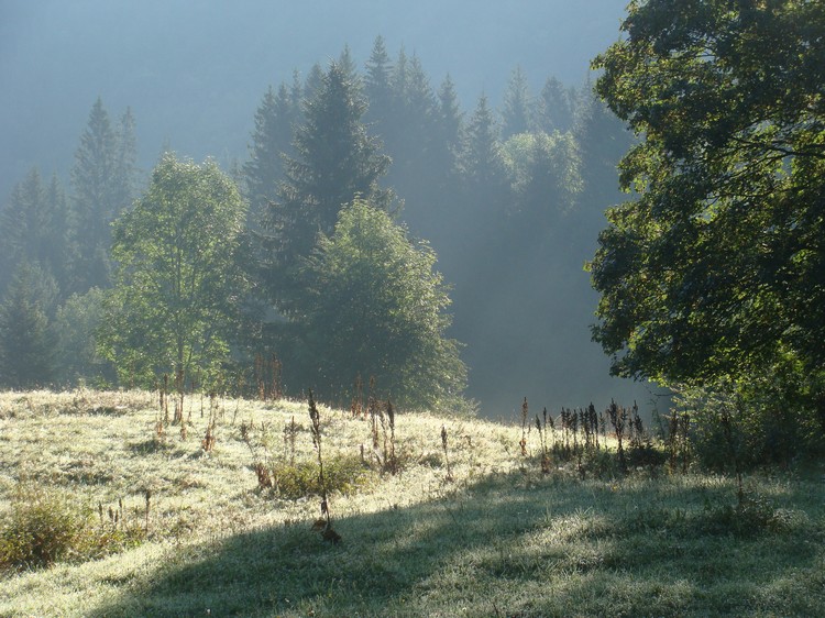 Early morning near Mijoux in the Haut Jura