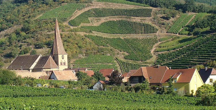 The Alsace