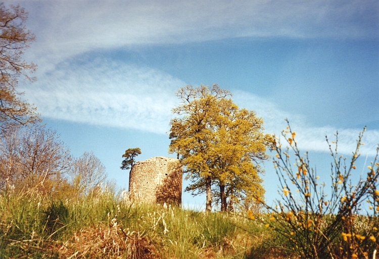 Castle near Le Puy