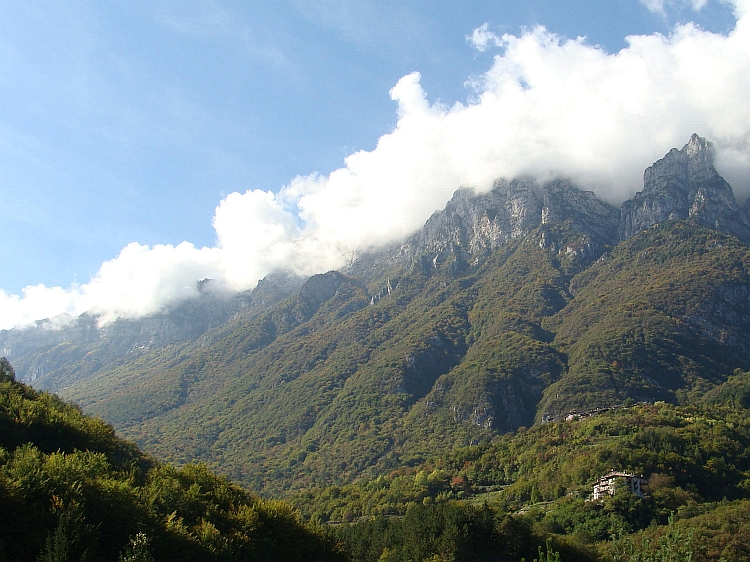Mountain scenery near Covelo