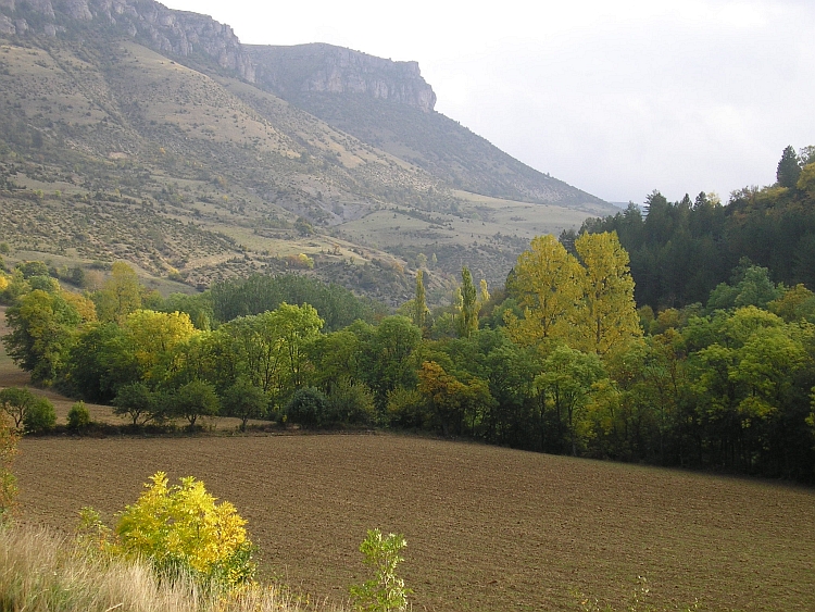 Deep Autumn in the Gorges de la Jonte