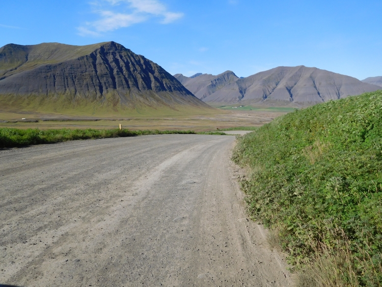 Road 60 between Þingeyri and Hrafnseyri
