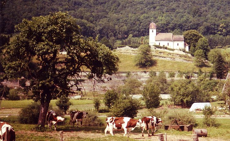 Pastoral scene in the Jura, France