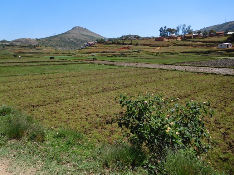 Landscape between Antananarivo and Manjakandriana