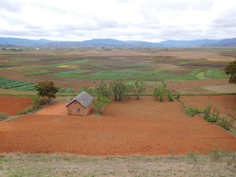 Between Ambatolampy and Antsirabe