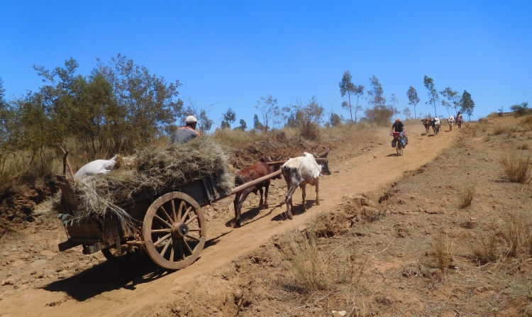 The busy roads of Madagasacr (1)