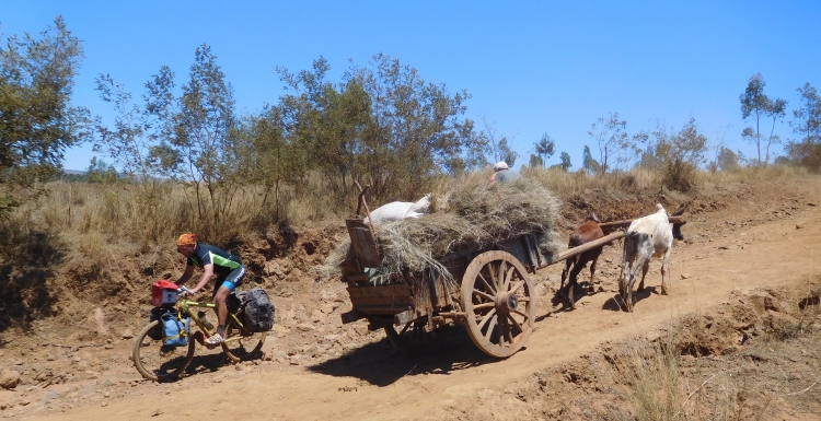 The busy roads of Madagascar (3)