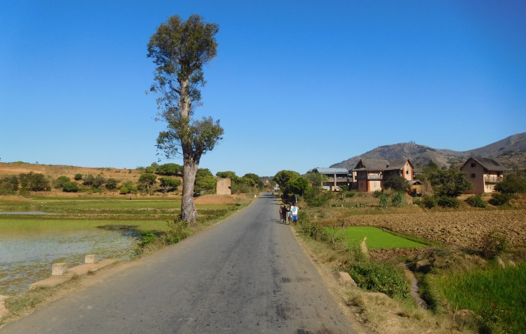 Between Antsirabe and Ambositra
