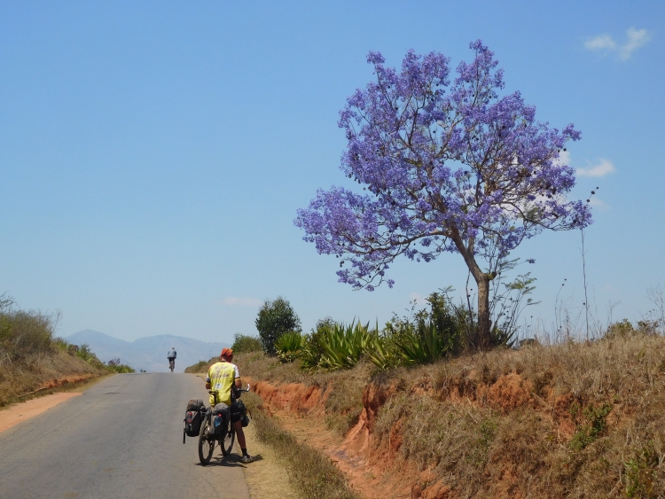 Willem between Fianarantsoa and Ambalavao