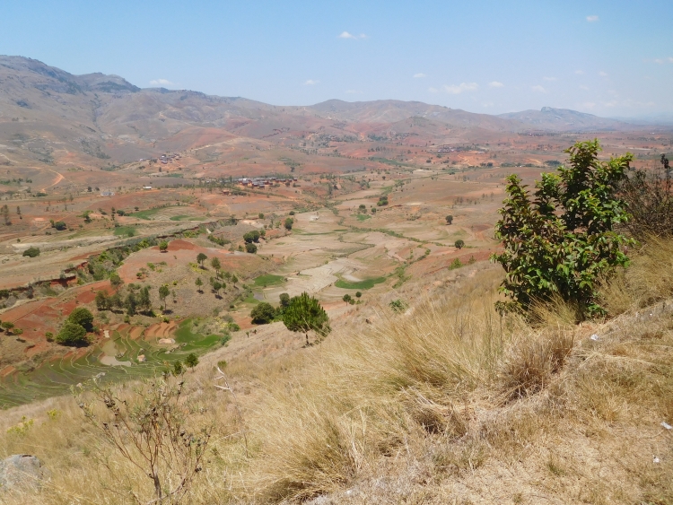 Between Fianarantsoa and Ambalavao