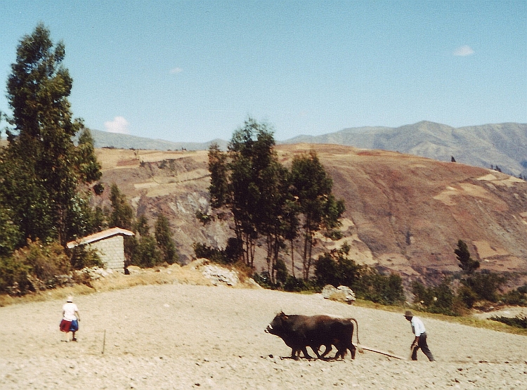 Het boerenbedrijf op de Peruviaanse Hooglanden