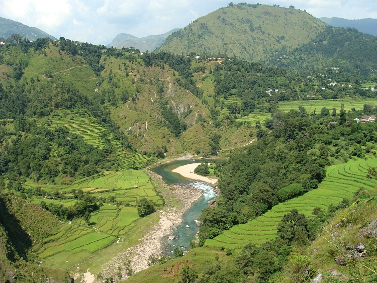 Rijstvelden in de heuvels van de Himalaya