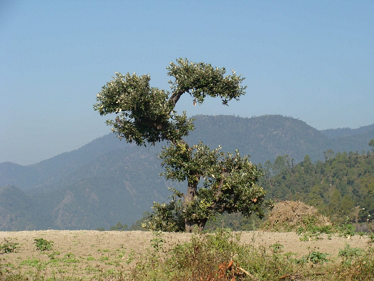 Landscape on the descent to Hetauda