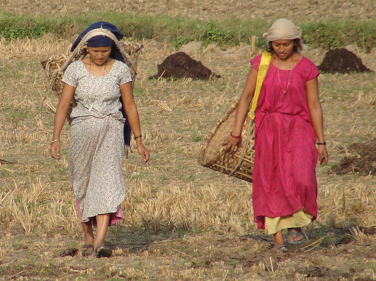 Vrouwen op het land in Chitwan