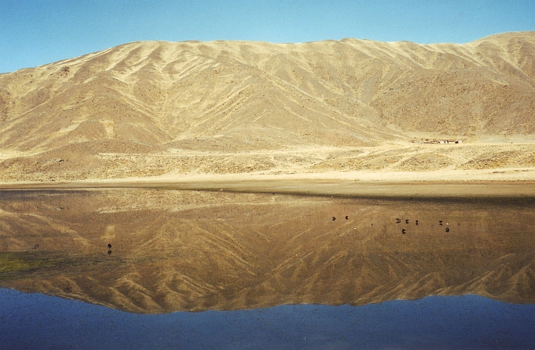 Reflections. The Altiplano sometimes literally acts as a mirror